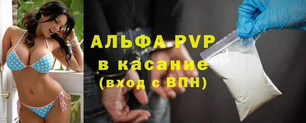 дживик Тайга