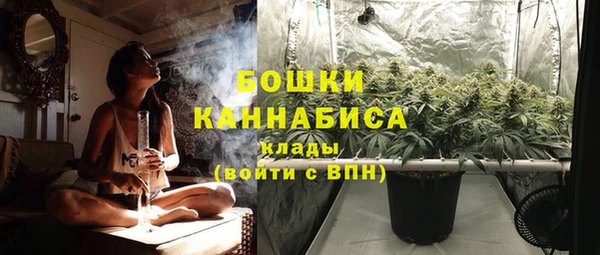 СК Волоколамск