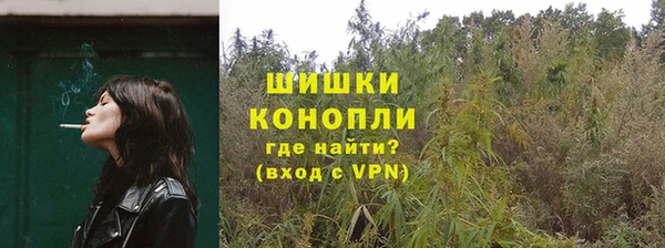 spice Сясьстрой