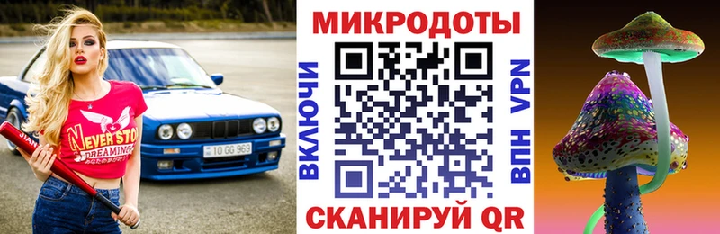 закладка  Братск  Псилоцибиновые грибы Psilocybe 